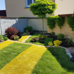 Abattage : enlevez les arbres dangereux ou indésirables de votre jardin en toute sécurité Lamentin